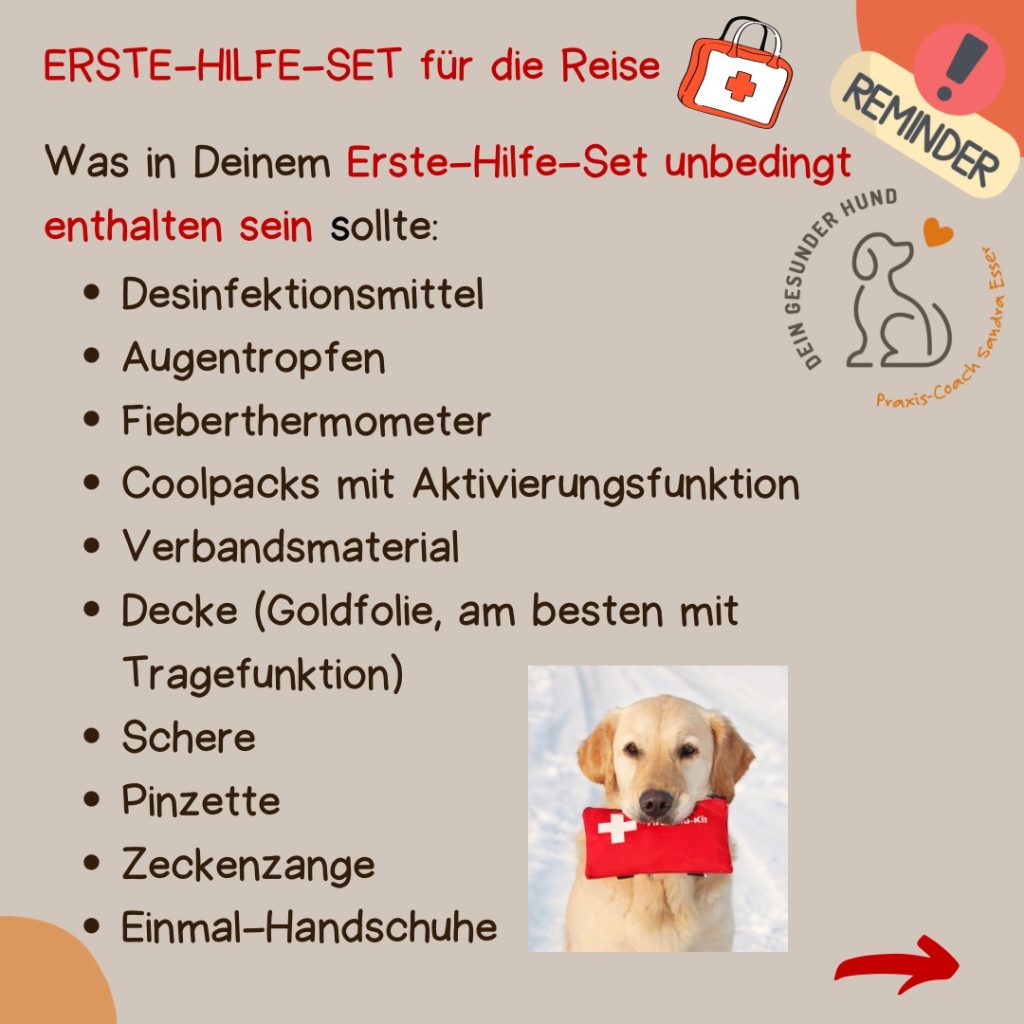 Urlaub_mit_Hund_Checklisten_05