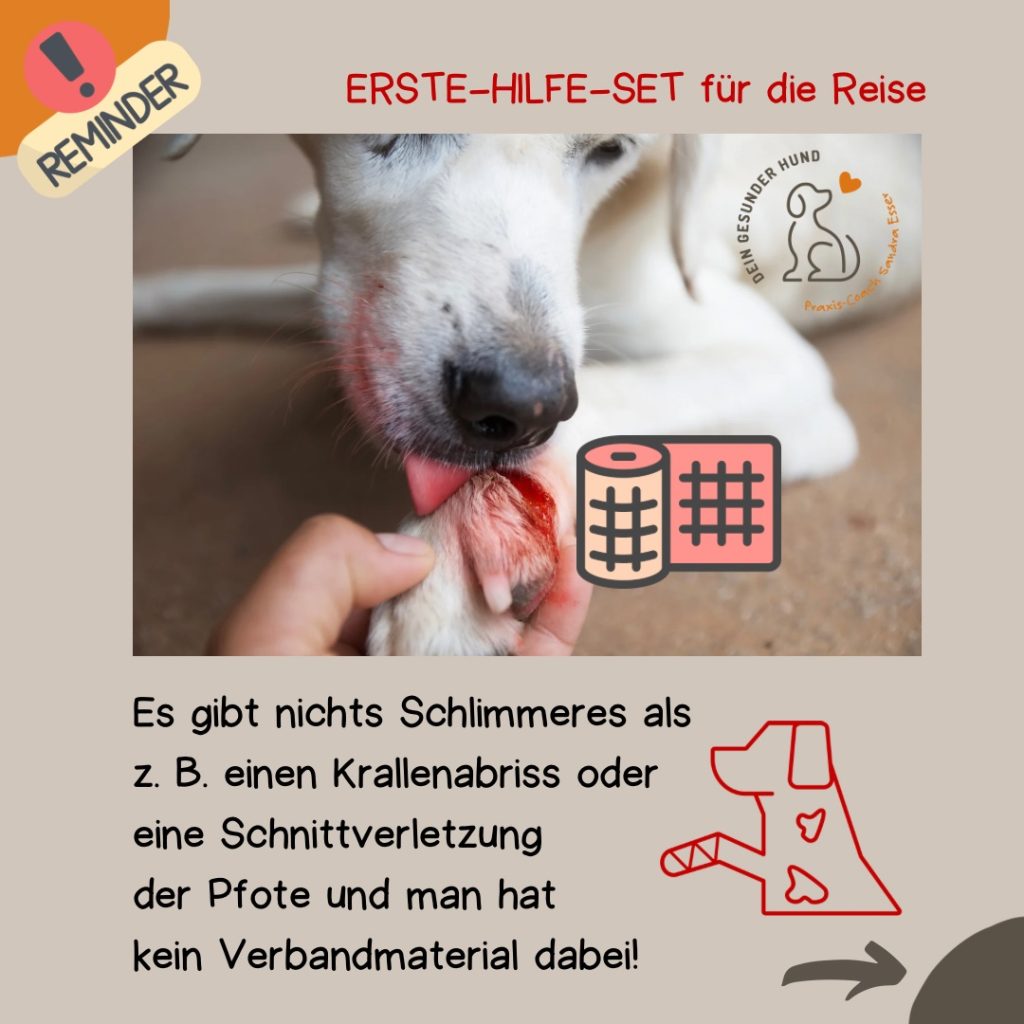 Urlaub_mit_Hund_Checklisten_06