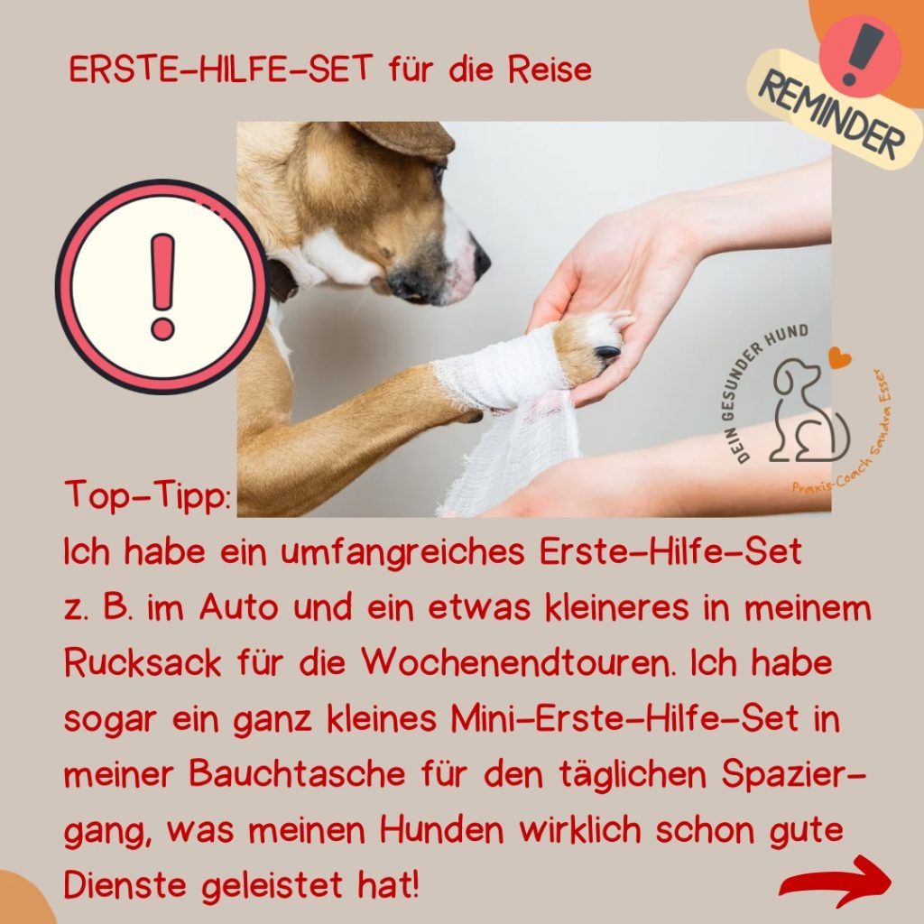 Urlaub_mit_Hund_Checklisten_07
