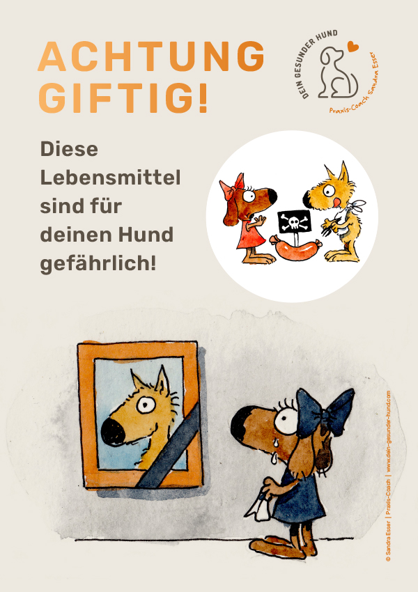 giftige-Lebensmittel-PDF
