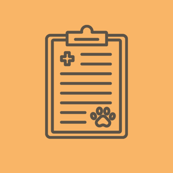 gesunder-hund-gesundheitsbogen-icon gesunder-hund-gesundheitsbogen-icon